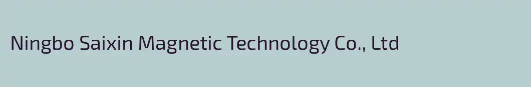Ningbo Saixin Magnetic Technology Co., Ltd